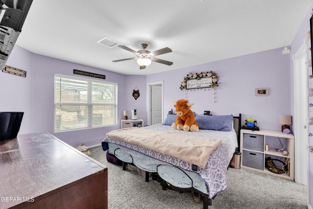 12028 MESQUITE THORN Drive, El Paso, TX 79934