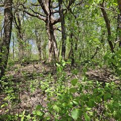 2930 W Memorial Drive, Janesville, WI 53548