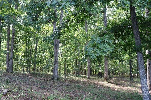 2096 Roy Woods Road, Comer, GA 30629