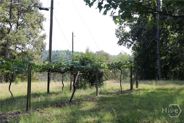 2096 Roy Woods Road, Comer, GA 30629