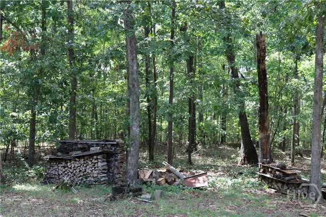 2096 Roy Woods Road, Comer, GA 30629