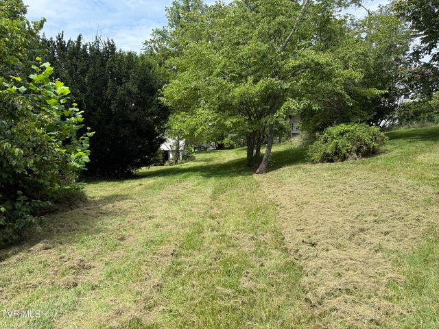 2236 Vance Tank Road, Bluff City, TN 37618