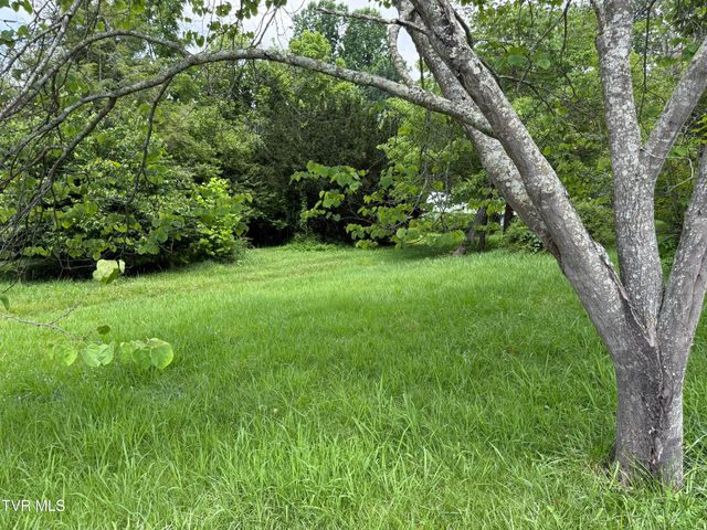 2236 Vance Tank Road, Bluff City, TN 37618