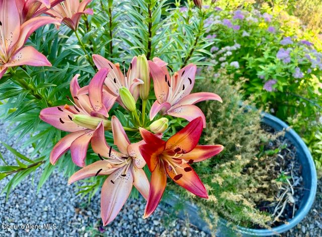 124 W Idaho Ave, Kellogg, ID 83837