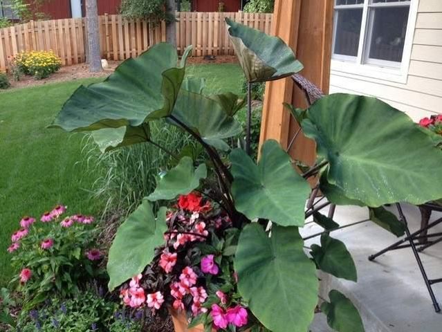 450 Willow Drive S, Orono, MN 55356