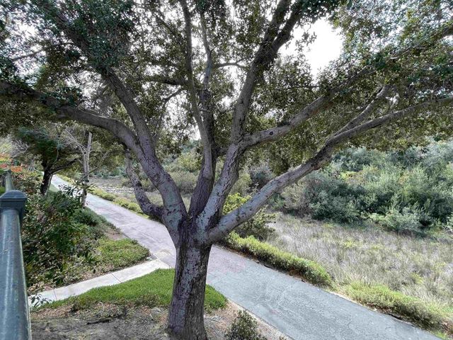 2776 W Canyon Avenue, San Diego, CA 92123