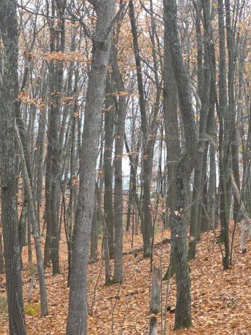 411 Peach Road, Roscommon, MI 48653