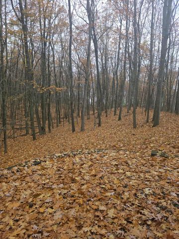 411 Peach Road, Roscommon, MI 48653