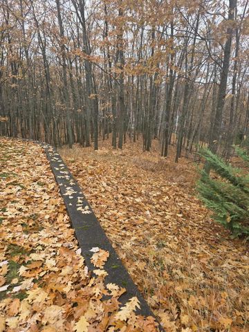 411 Peach Road, Roscommon, MI 48653