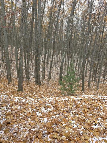 411 Peach Road, Roscommon, MI 48653