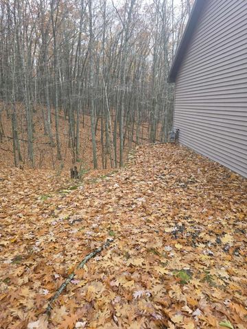 411 Peach Road, Roscommon, MI 48653