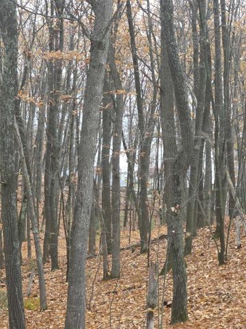 411 Peach Road, Roscommon, MI 48653