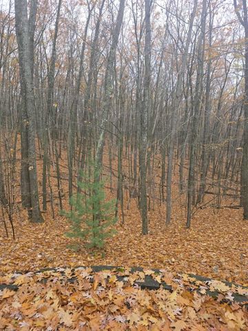 411 Peach Road, Roscommon, MI 48653