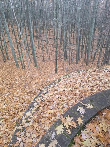 411 Peach Road, Roscommon, MI 48653