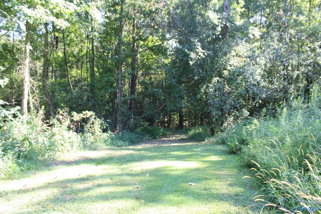 9750 Alabama Highway 101, Town Creek, AL 35672