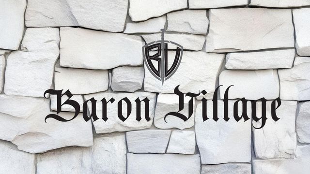 10829 N Baron Village Drive, Conroe, TX 77306