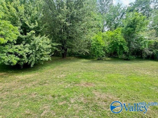 202 Blue Sage Drive, Harvest, AL 35749