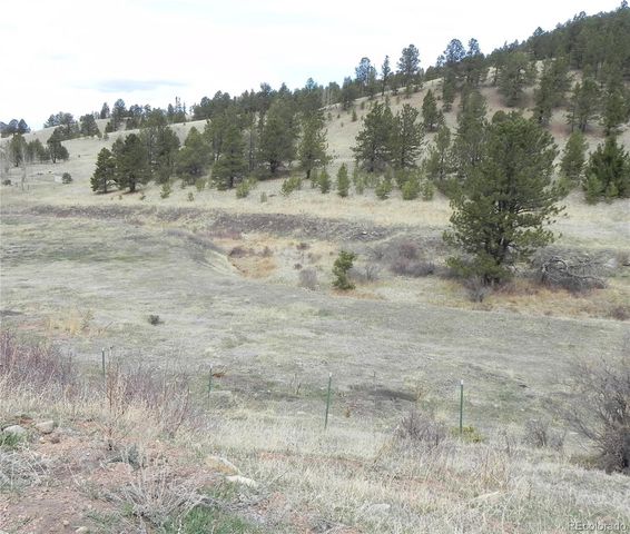 521 Monarch Drive, Cripple Creek, CO 80813