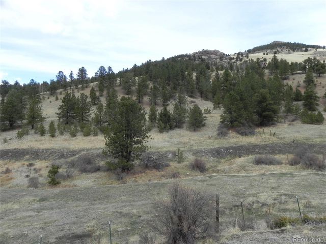521 Monarch Drive, Cripple Creek, CO 80813