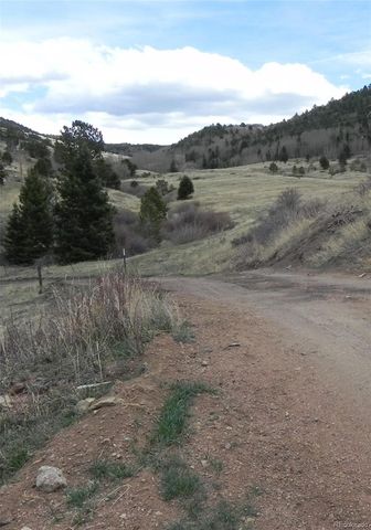 521 Monarch Drive, Cripple Creek, CO 80813