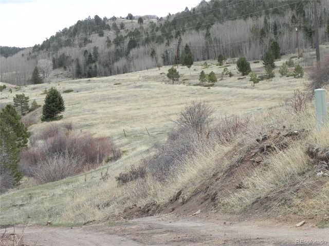 521 Monarch Drive, Cripple Creek, CO 80813