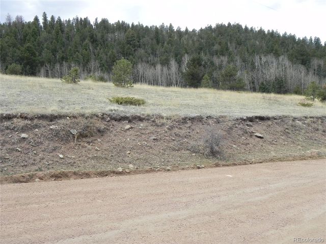 521 Monarch Drive, Cripple Creek, CO 80813
