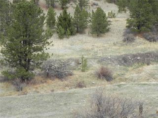 521 Monarch Drive, Cripple Creek, CO 80813