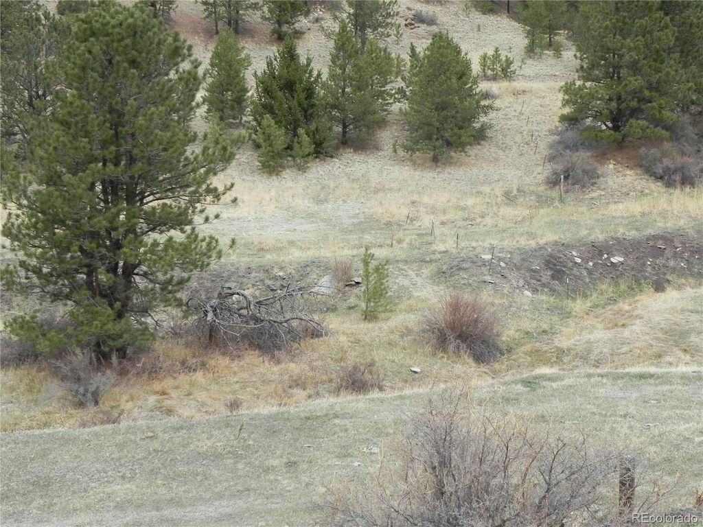 521 Monarch Drive, Cripple Creek, CO 80813