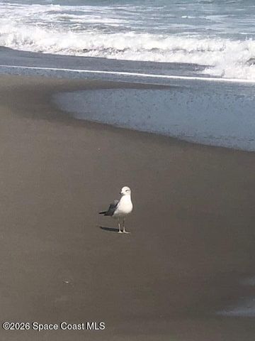 610 Jefferson Avenue 9, Cape Canaveral, FL 32920