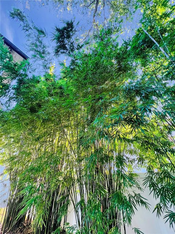 Image 65 of property listing at 15314 MONTAUK LANE, Clermont, FL 34714