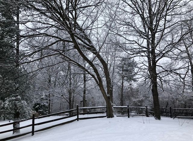 10282 Hempsteade Drive, Union, KY 41091