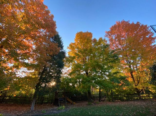 10282 Hempsteade Drive, Union, KY 41091