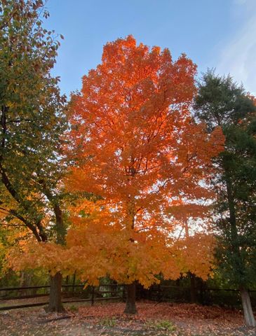 10282 Hempsteade Drive, Union, KY 41091