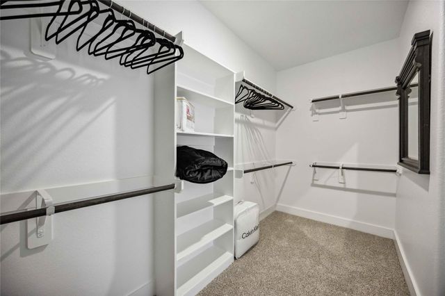 6923 California Black Oak Drive, Conroe, TX 77304