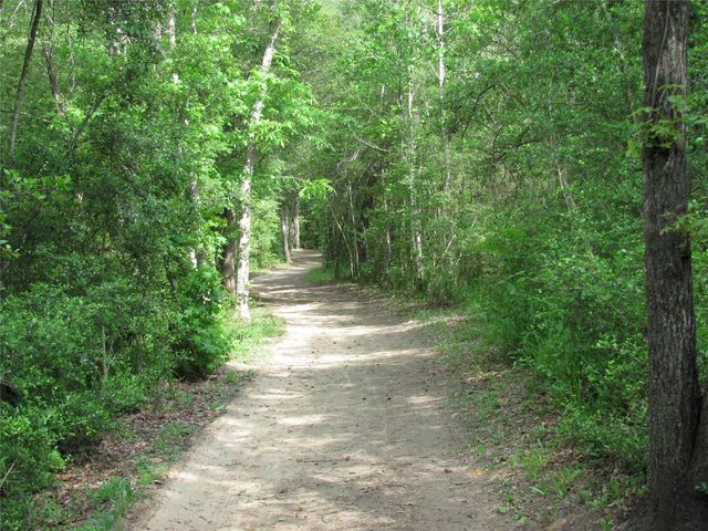 628 Foster Street, Tomball, TX 77375