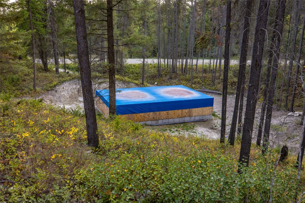 295 Tally Lake Road, Whitefish, MT 59937 photo 96