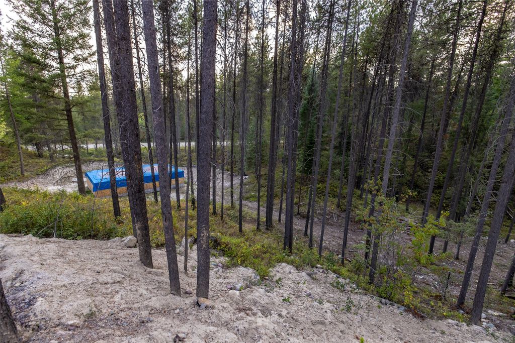 295 Tally Lake Road, Whitefish, MT 59937 photo 97