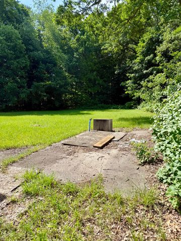 3589 W Webster Road, Grant Twp-oceana Co, MI 49437
