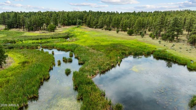 1261 W Big Springs Trail, Pinetop-lakeside, AZ 85929