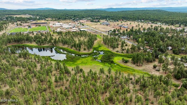 1261 W Big Springs Trail, Pinetop-lakeside, AZ 85929
