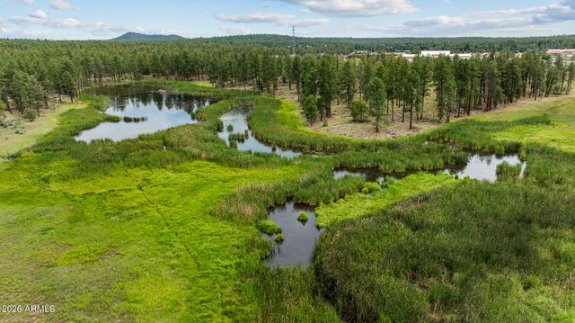1261 W Big Springs Trail, Pinetop-lakeside, AZ 85929
