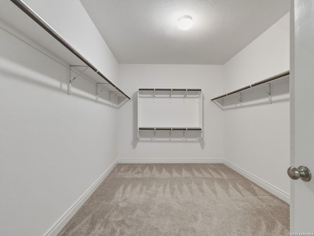 12243 Black Hat, San Antonio, TX 78254