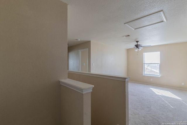 6319 Wild Flower Way, San Antonio, TX 78244
