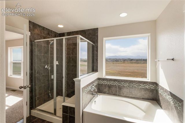 7352 Bigtooth Maple Drive, Colorado Springs, CO 80925