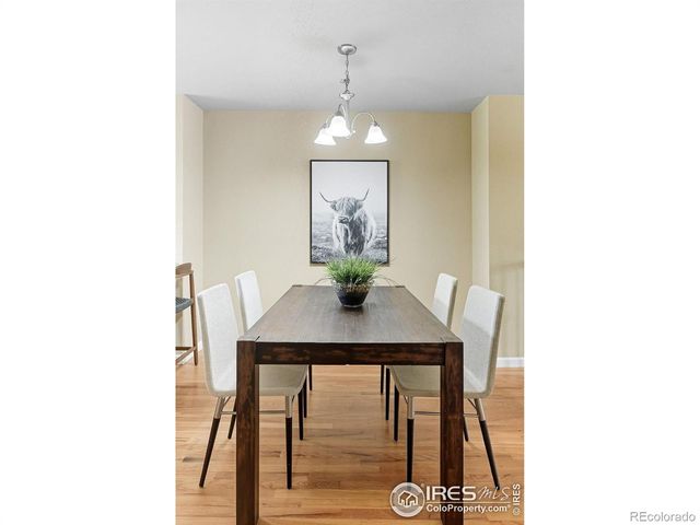 1667 Venice Lane, Longmont, CO 80503