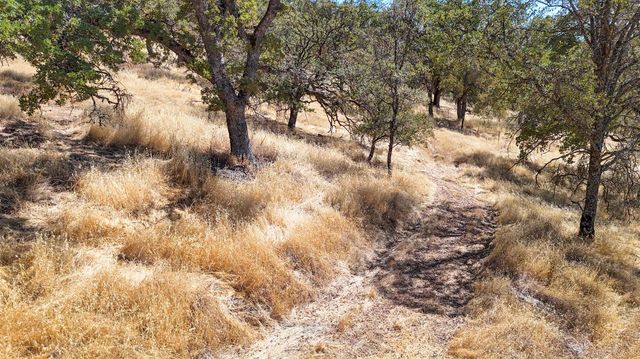 1560 Pinto Dr, Angels Camp, CA 95222