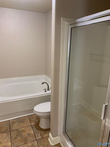 101 Oxfordwill Court, Triana, AL 35756