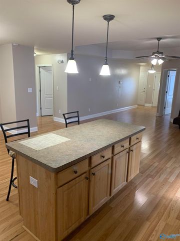 101 Oxfordwill Court, Triana, AL 35756