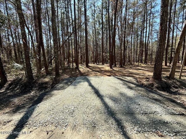 0 Lot 1 Creek Place Road, Arapahoe, NC 28510