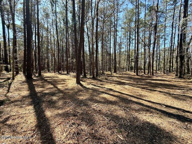 0 Lot 1 Creek Place Road, Arapahoe, NC 28510